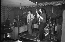 denigh -golden arrow